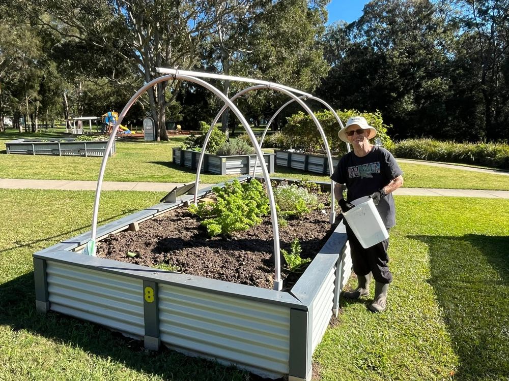 A smiling garden member with a watering bucket beside the netted raised beds on a sunny morning